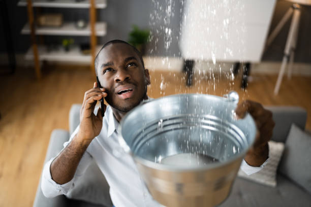 Water damage restoration experts in Edinburg, IL