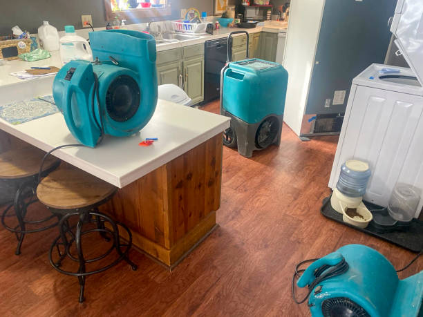 Best Local water damage restoration  in Edinburg, IL