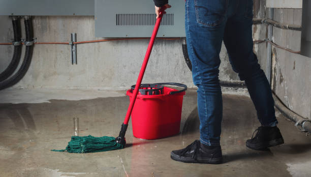 Best Water damage restoration services  in Edinburg, IL