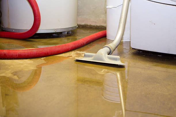 Best Water damage repair service  in Edinburg, IL