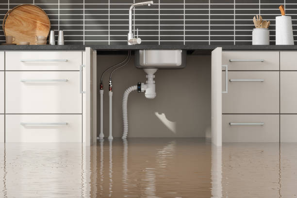 Best Water damage restoration near me  in Edinburg, IL