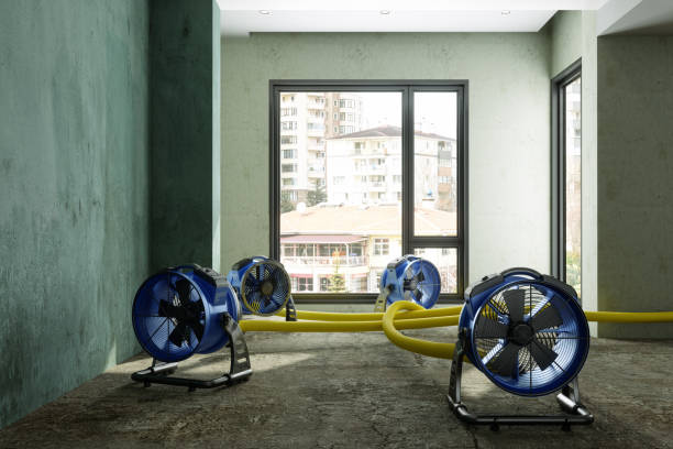 Trusted Edinburg, IL Water damage restoration Experts